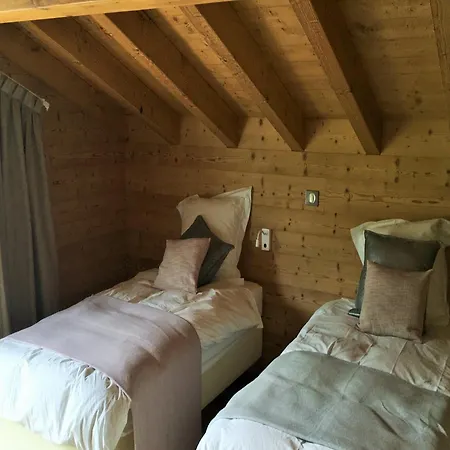 Nice Chalet With Fireplace In Megeve