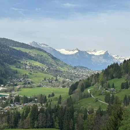With Fireplace In Megeve